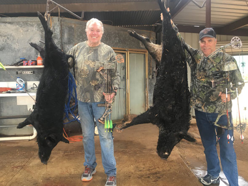 Boar-Hunting-Locations-San-Antonio-TX