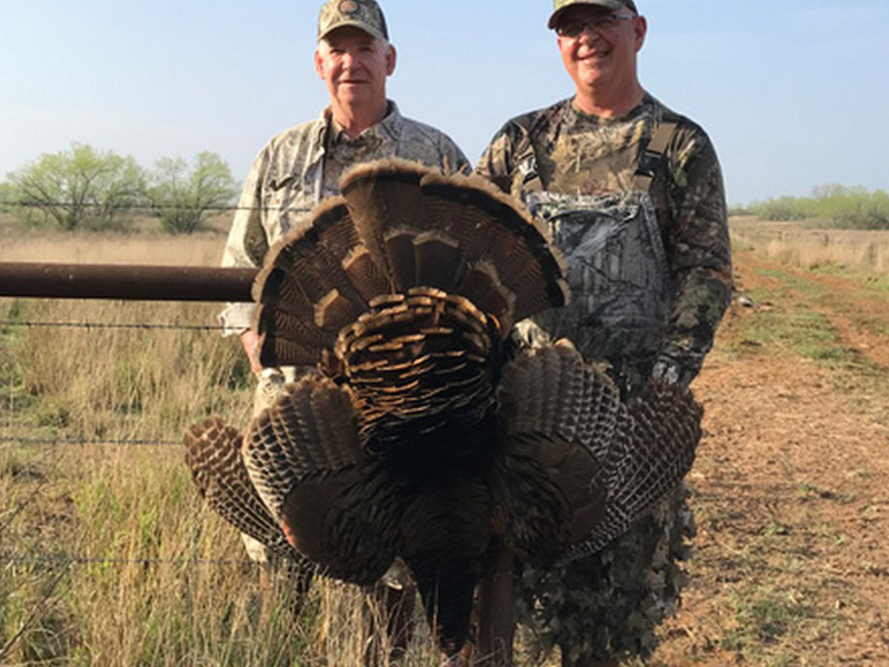 Turkey-Hunting-Locations-South-Texas-TX